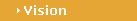 Vision